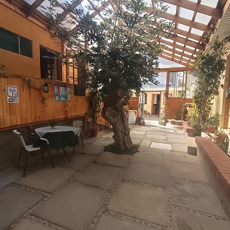 Hostal Julia El Quisco Exterior photo